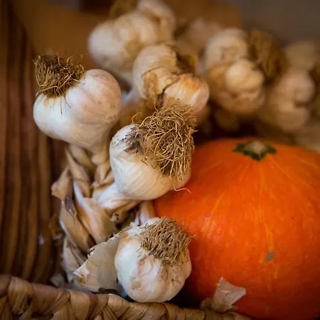 Apartmán Bay View *